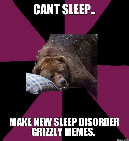 cant sleep wake new sleep disorder grizzly memes