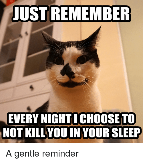 just remember every night I choose to not kill you in your sleep