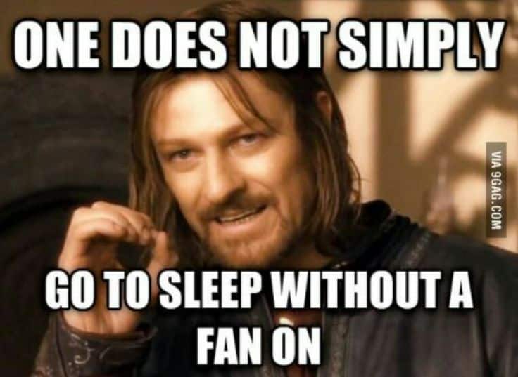 one doesn't simply go to sleep without a fan on