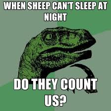 when sleep can't sleep at night, do they count us