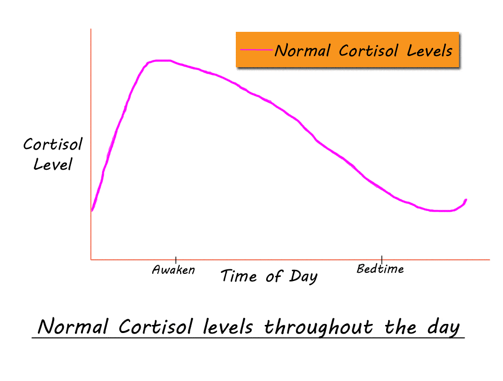 Regulate Cortisol Levels
