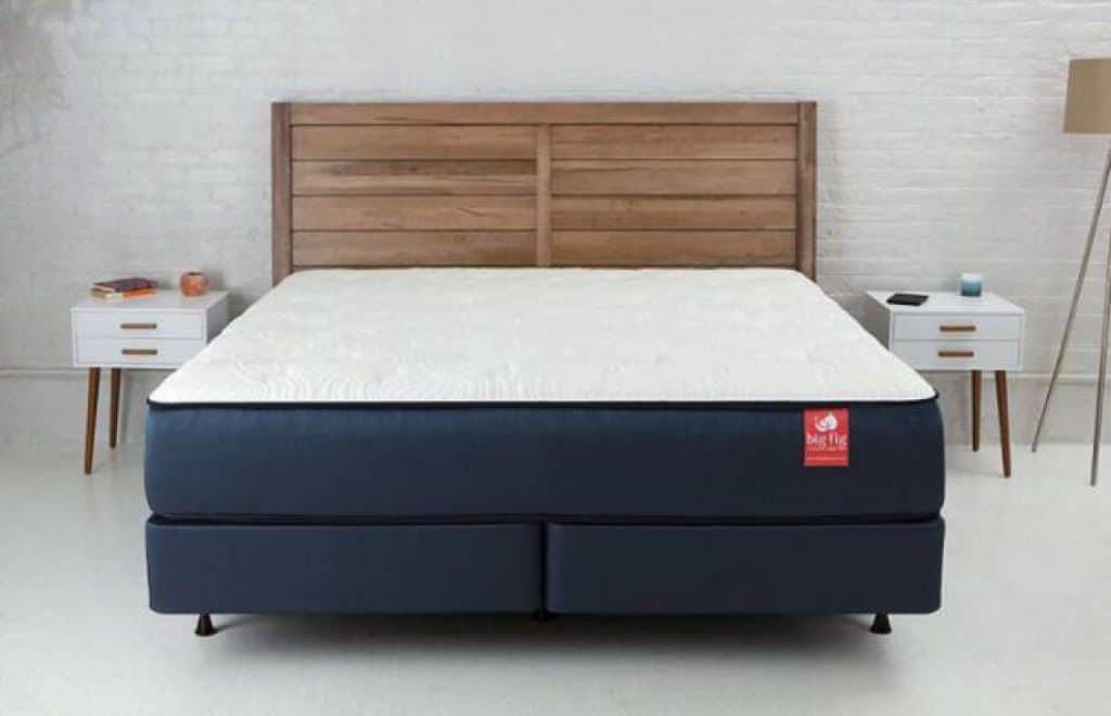 The Big Fig Mattress