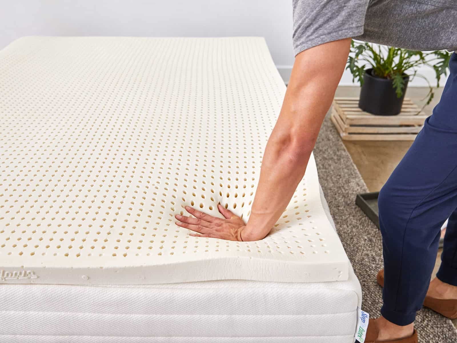 latex mattress bedframe needs