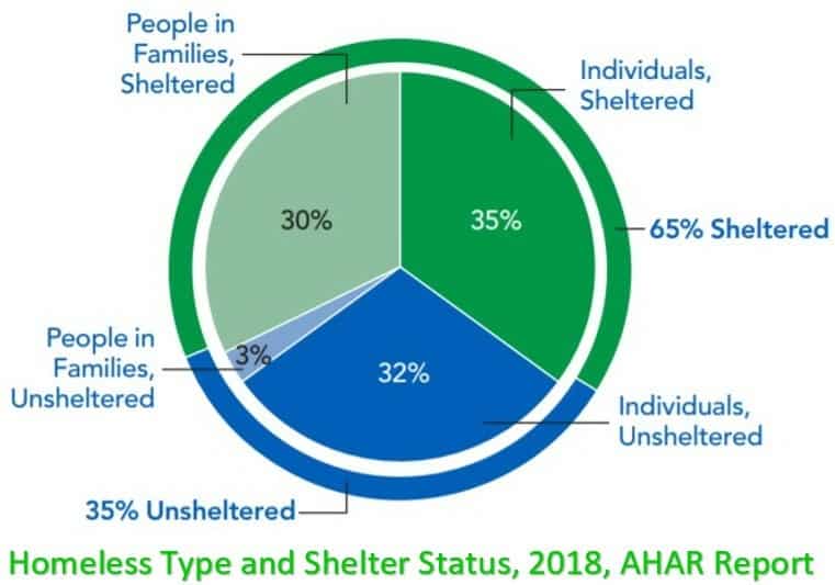 homeless type and shlter status 2018